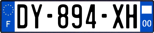 DY-894-XH