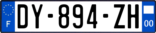 DY-894-ZH