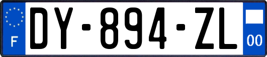 DY-894-ZL