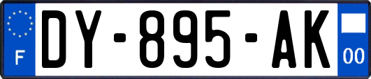 DY-895-AK