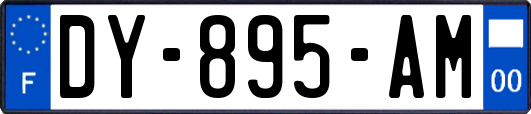 DY-895-AM