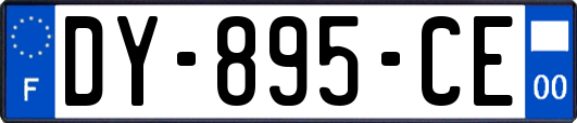 DY-895-CE