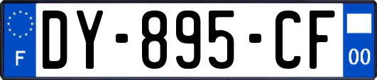 DY-895-CF