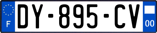 DY-895-CV