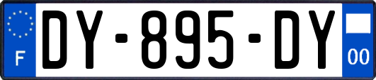 DY-895-DY