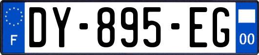 DY-895-EG