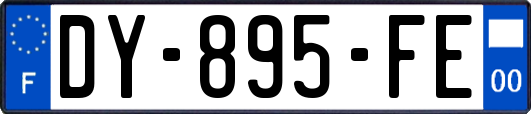 DY-895-FE