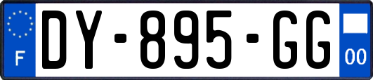 DY-895-GG