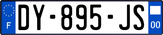 DY-895-JS