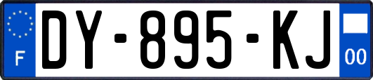 DY-895-KJ