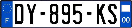 DY-895-KS