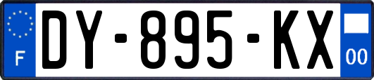 DY-895-KX