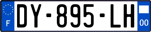 DY-895-LH