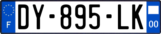 DY-895-LK