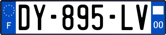 DY-895-LV