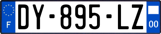 DY-895-LZ