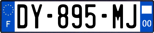 DY-895-MJ