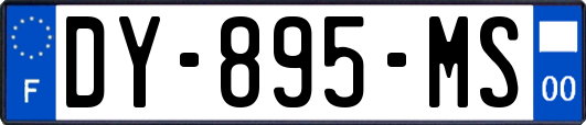 DY-895-MS