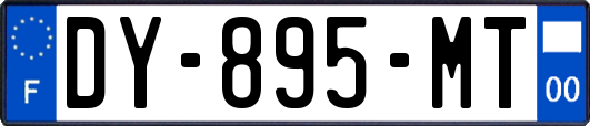 DY-895-MT