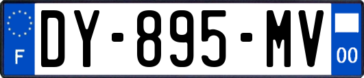 DY-895-MV