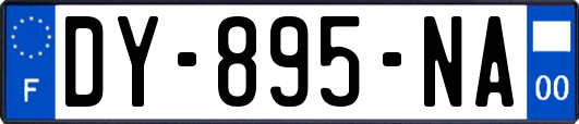DY-895-NA