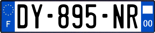 DY-895-NR