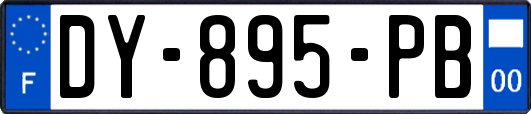 DY-895-PB