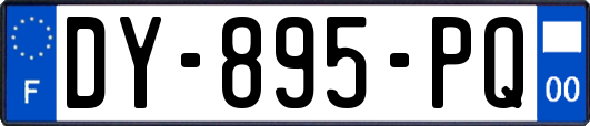 DY-895-PQ