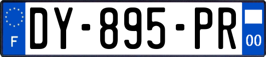 DY-895-PR