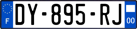 DY-895-RJ