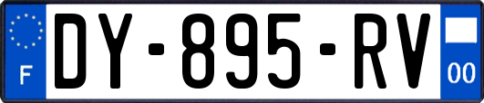 DY-895-RV