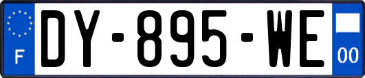 DY-895-WE