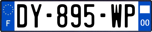 DY-895-WP