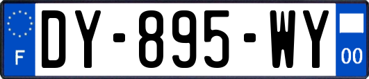 DY-895-WY