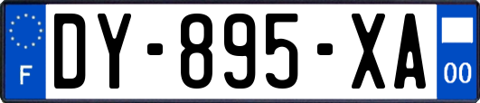 DY-895-XA