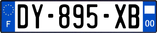 DY-895-XB