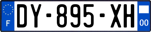 DY-895-XH