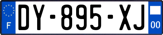 DY-895-XJ