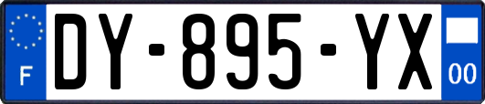 DY-895-YX