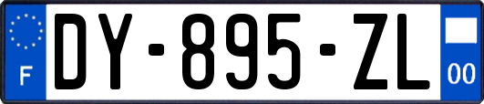 DY-895-ZL