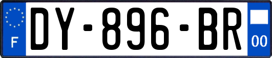 DY-896-BR
