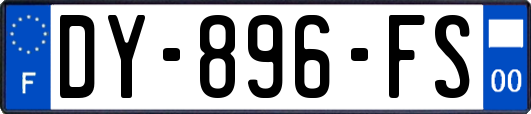 DY-896-FS