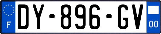 DY-896-GV