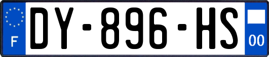 DY-896-HS