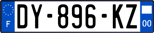 DY-896-KZ