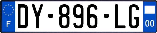 DY-896-LG