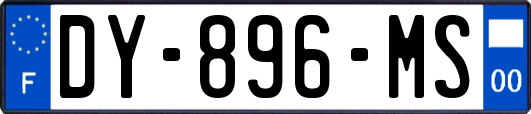 DY-896-MS