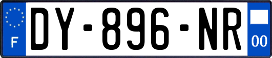 DY-896-NR