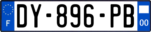 DY-896-PB