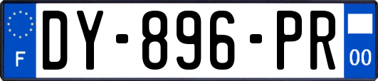 DY-896-PR